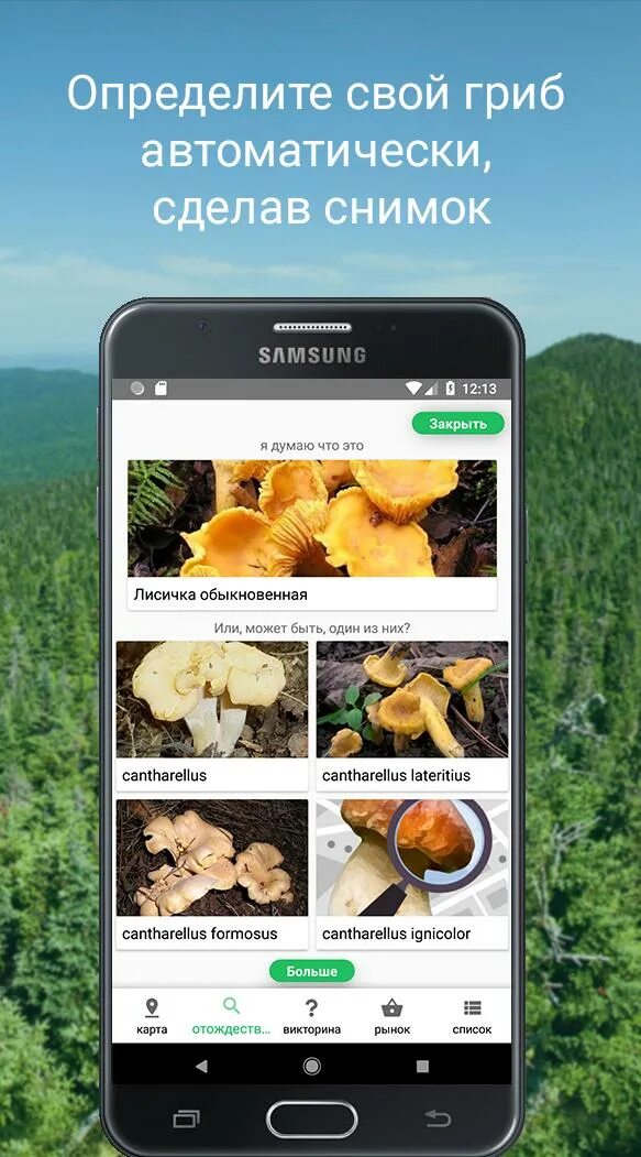 Распознать гриб по фото с телефона Скачать Mushroom Identify (признать гр APK для Android