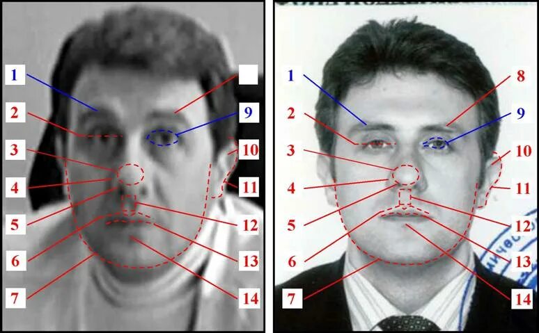 Распознать лицо по фото Портретная экспертиза