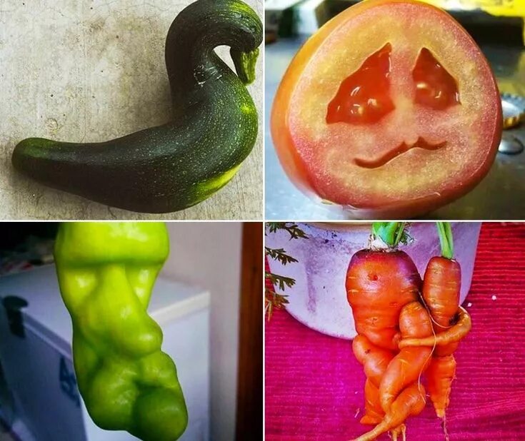 Распознать овощ по фото онлайн Pin on Фрукты-овощи Funny vegetables, Fruit and veg, Fruit