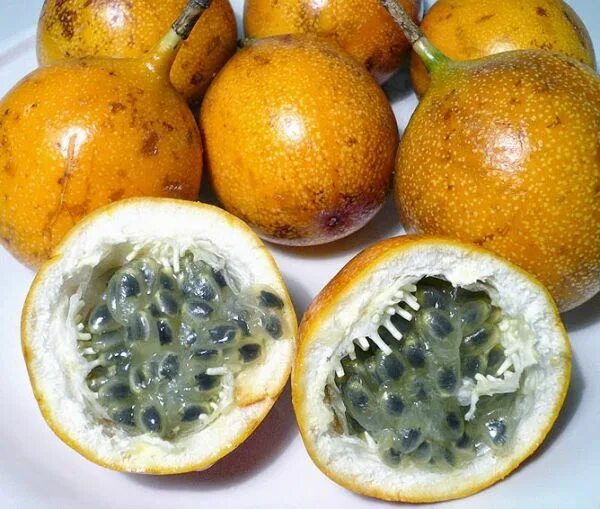 Распознать по фото фрукт онлайн бесплатно Popularity of Passionfruit and the Agricultural Industry - Orchard Tech