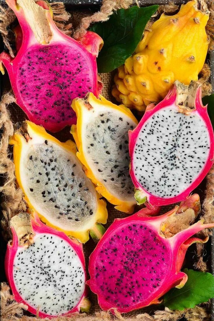 Распознать по фото фрукт онлайн бесплатно Side-by-side comparison of red, white and yellow dragon fruit showing the differ