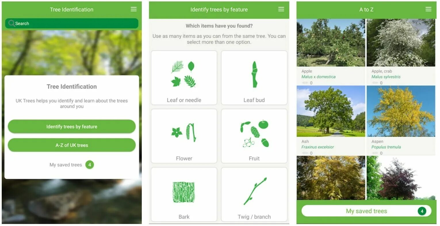 Распознавание дерева по фото Tree Bark Identifier App Best Sale bellady.by