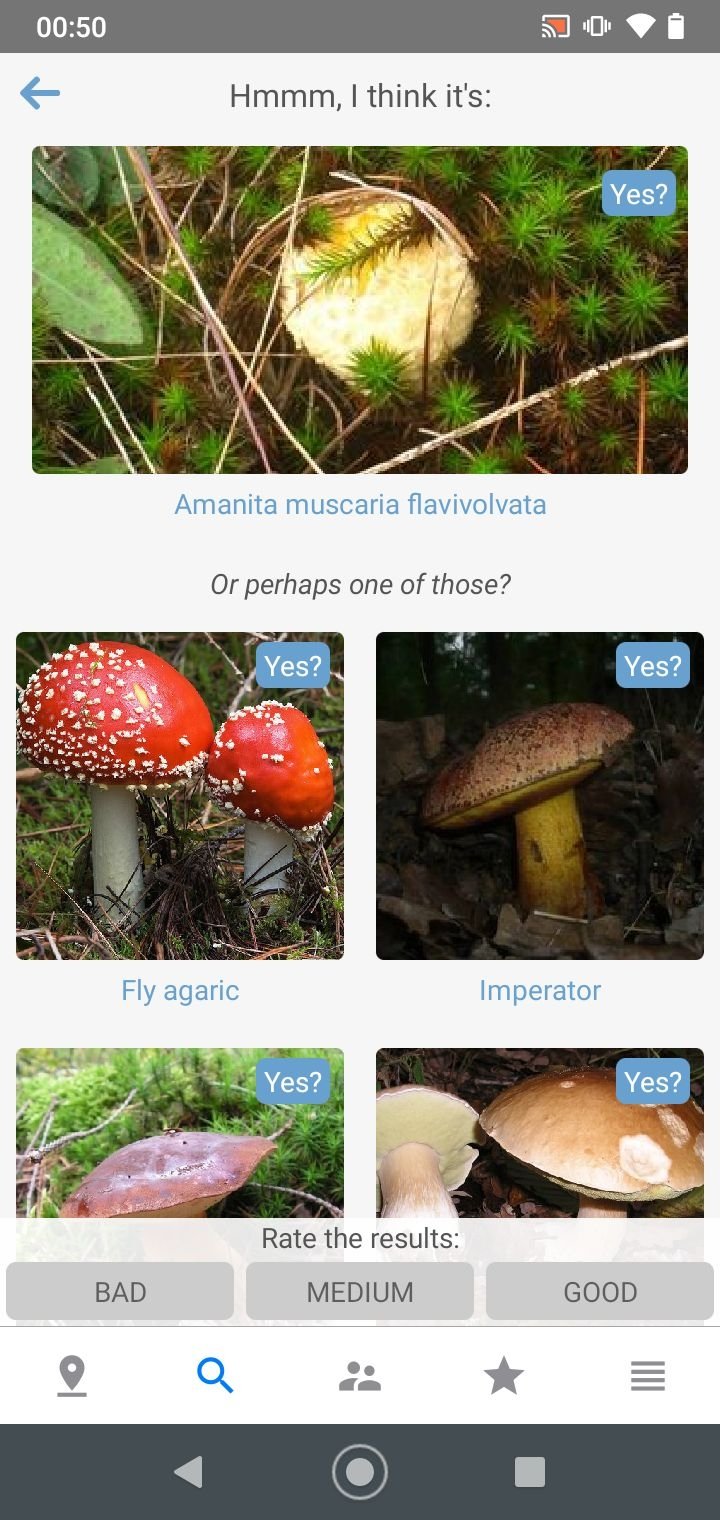 Распознавание грибов по фото скачать Mushroom Identify 2.91 - Скачать для Android APK бесплатно