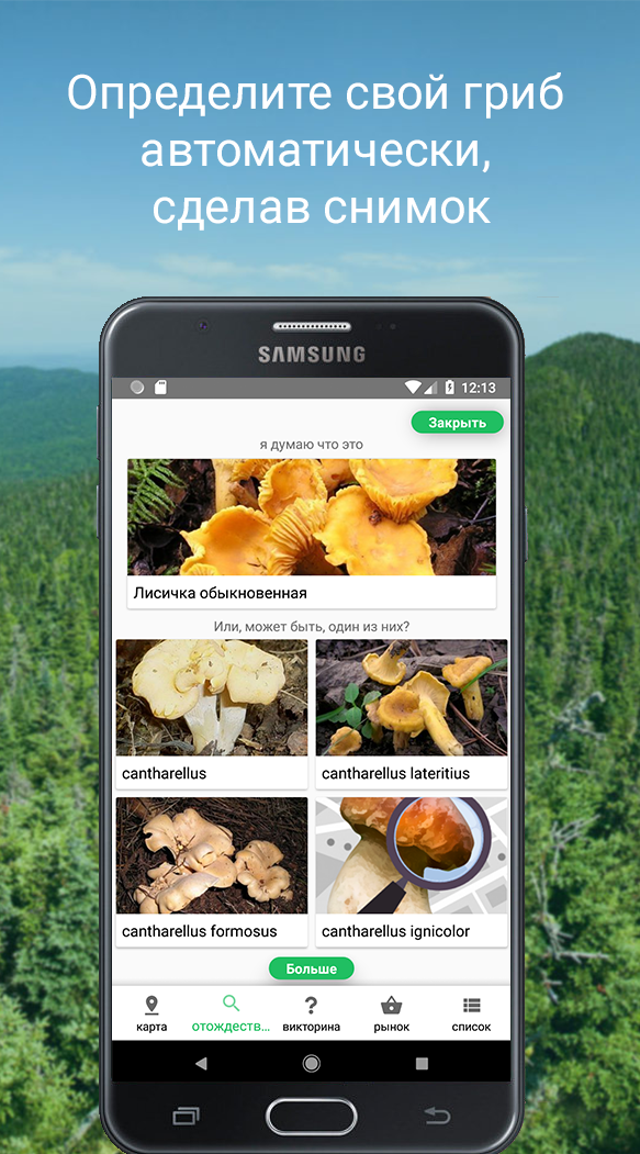 Распознавание грибов по фото скачать Скачать Mushroom Identify (признать гриб) APK v1.75 на Андроид бесплатно