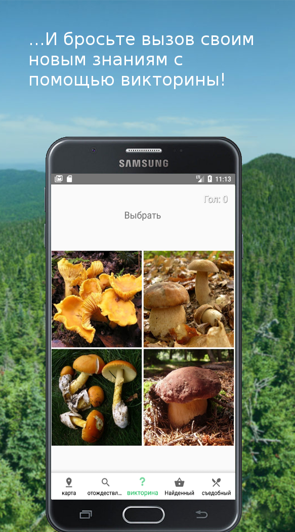 Распознавание грибов по фото скачать бесплатно Скачать Mushroom Identify (признать гриб) APK v1.75 на Андроид бесплатно