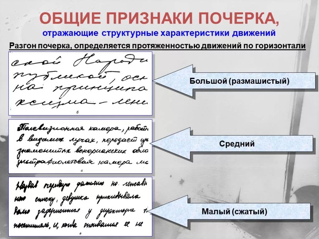 Распознавание медицинского почерка по фото Картинки ПРИЗНАКИ ПОЧЕРКА