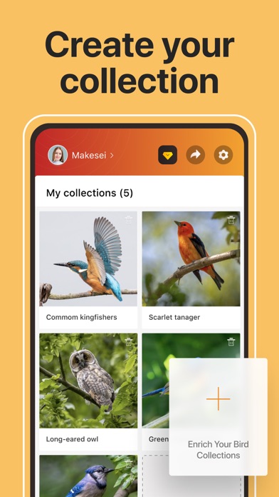 Распознавание птиц по фото Picture Bird: Birds Identifier for Android - Free Latest Version + MOD 2022