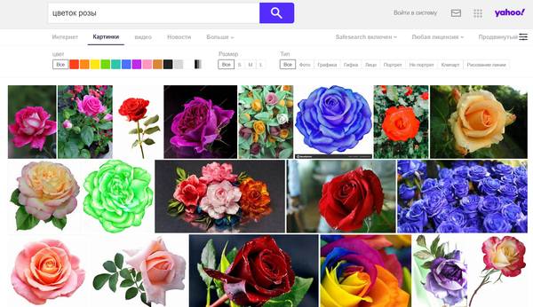 Распознавание цветов по фото онлайн Поиск изображений в Интернете - лучший поисковик для картинок