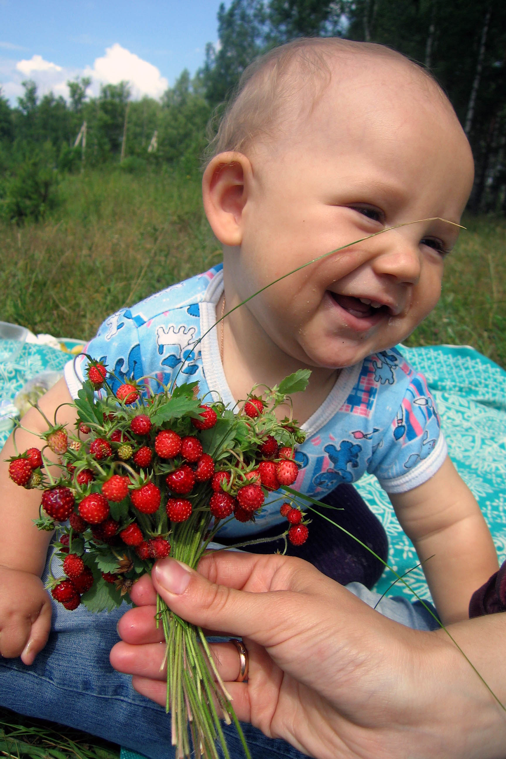 Распознавание ягоды по фото Кто как может, так и отдыхает: вот я по-грибы да по-ягоды.... Новая папка. Фотоа