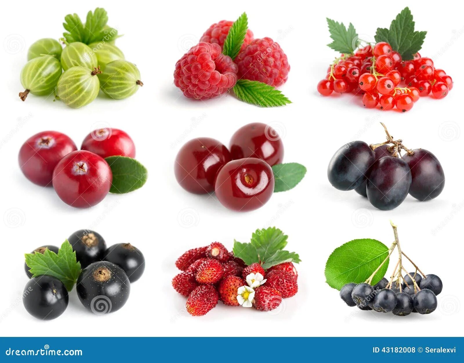 Распознавание ягоды по фото Sweet berries stock photo. Image of leaf, natural, fruit - 43182008