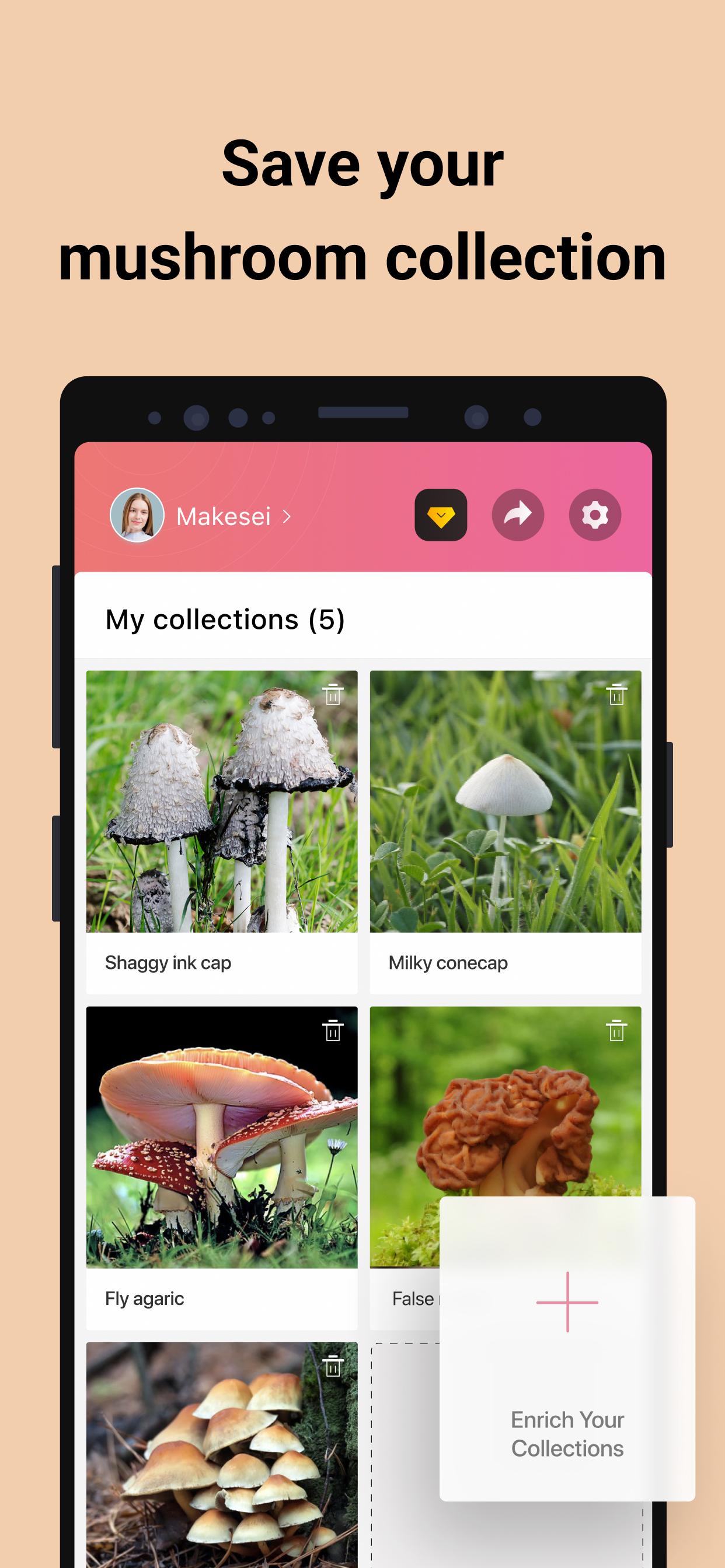 Распознаватель грибов по фото онлайн Picture Mushroom APK for Android Download