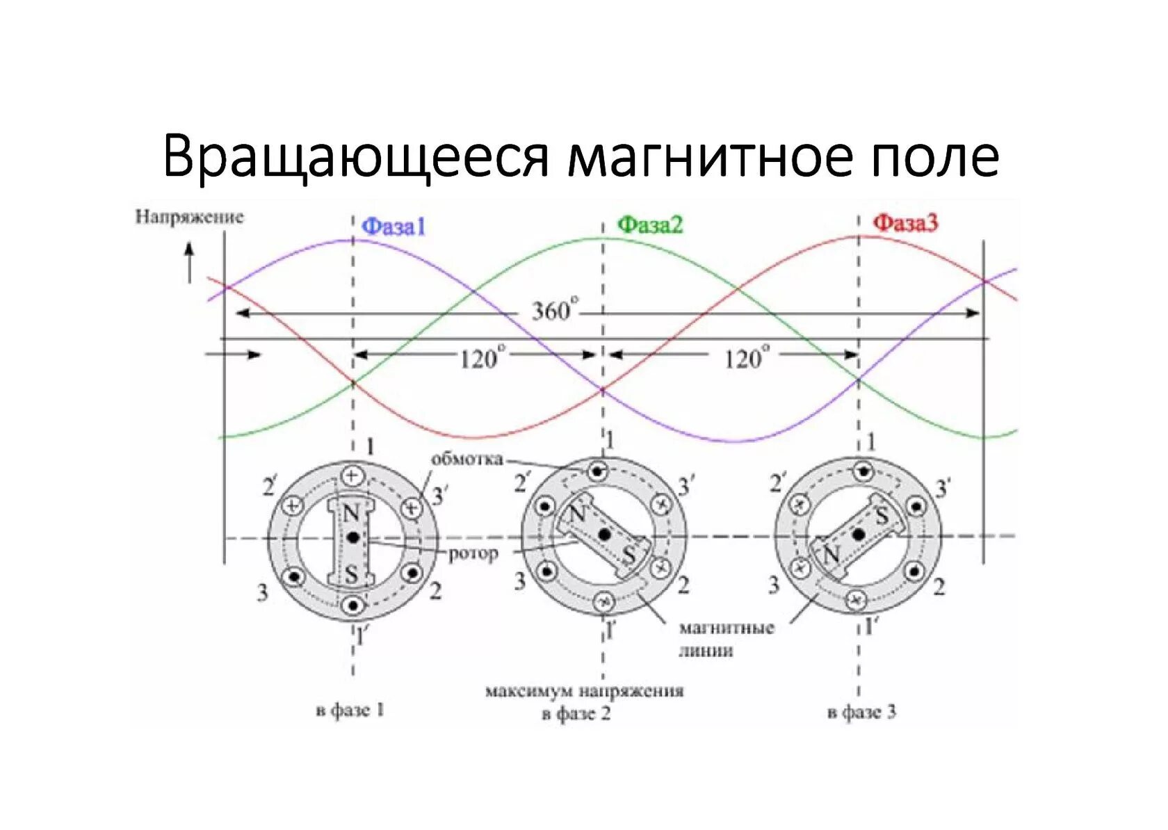 Распространенная схема трехфазной сети Картинки ТРЕХФАЗНЫЕ СИСТЕМЫ СЕТИ