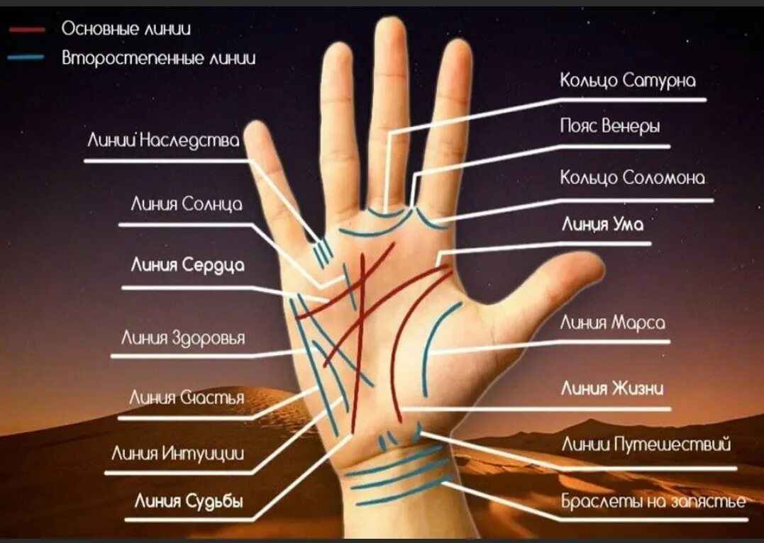 Расшифровка жизни по фото руки Линии линии на руке где находится