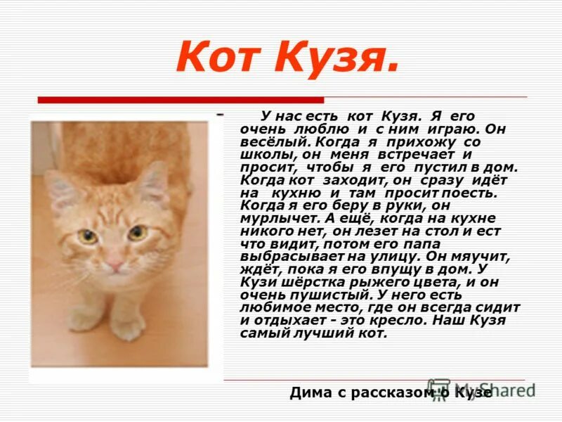 Рассказ о своем домашнем Я хочу рассказать о своем коте 2: найдено 74 изображений