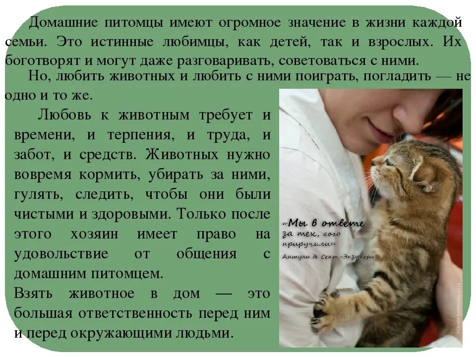 Рассказ о своем домашнем Я хочу рассказать о своей кошке: найдено 85 изображений