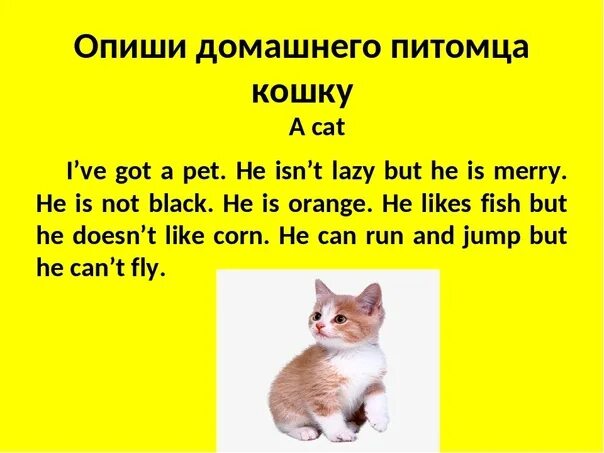 Расскажите о своем домашнем питомце Сочинение по английскому домашние животные: найдено 80 изображений