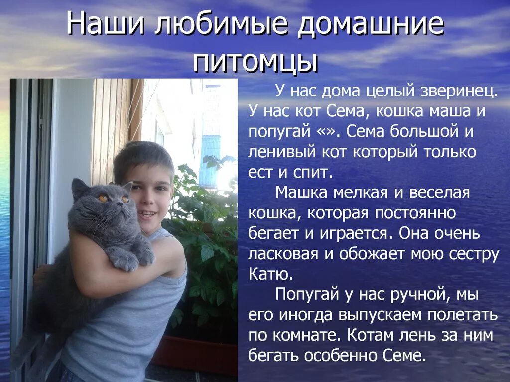 Расскажите о своем домашнем питомце Питомец в моем доме: найдено 85 изображений