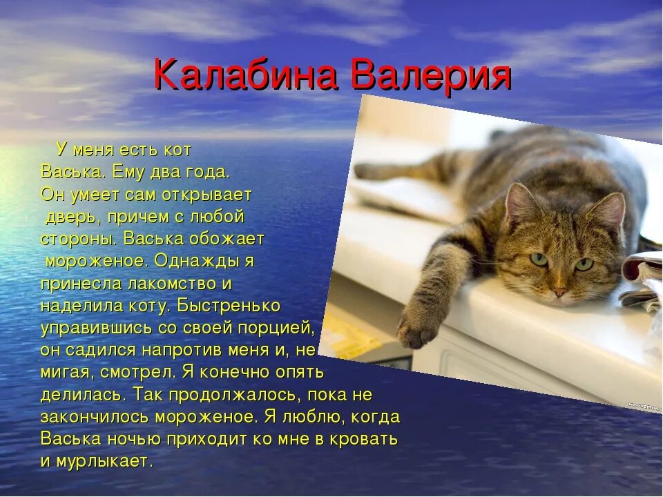 Расскажите о своем домашнем питомце Я хочу рассказать о своем коте 2: найдено 74 изображений