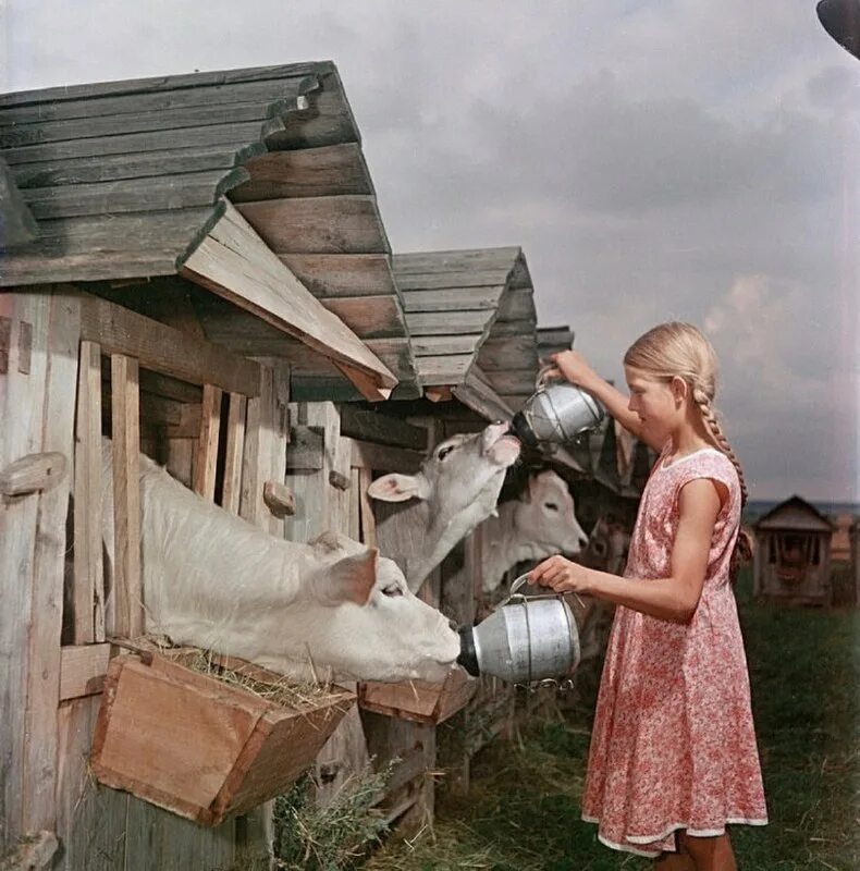 Рассказы в деревне фото Фотографии из прошлого нашей страны - 49 - ЯПлакалъ