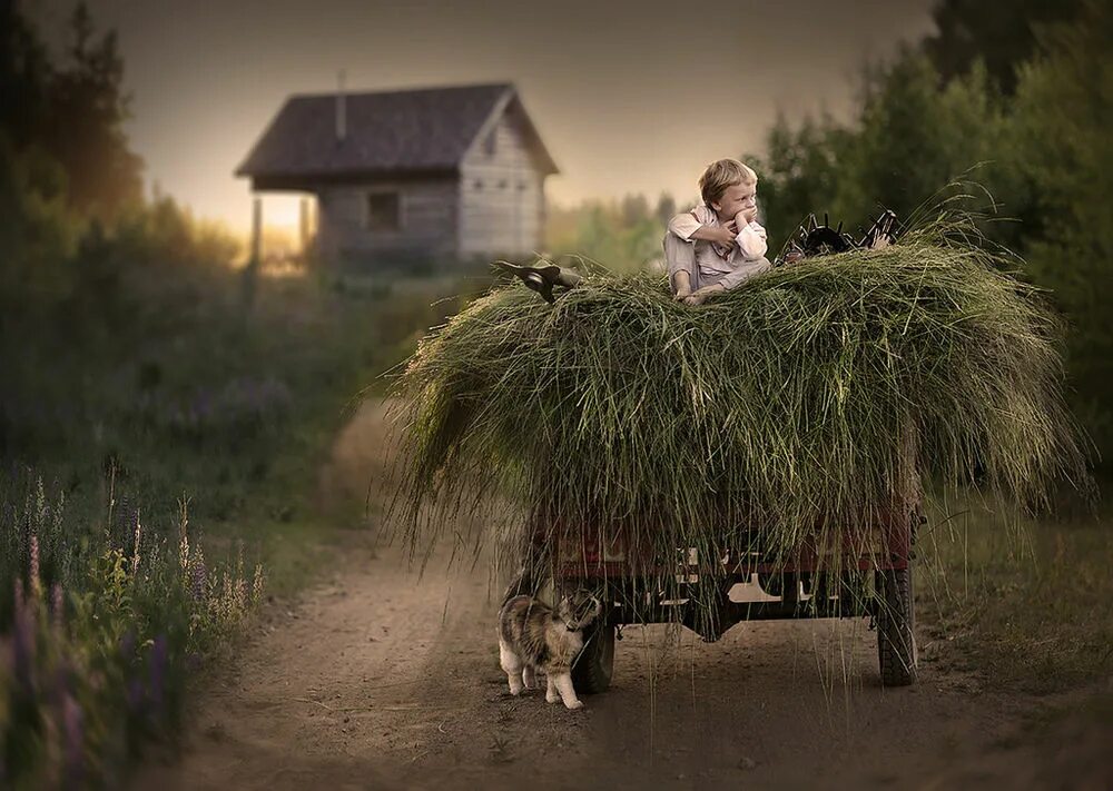 Рассказы в деревне фото Gold of the World in the Photos by Elena Shumilova: Ideas & Inspiration в журнал