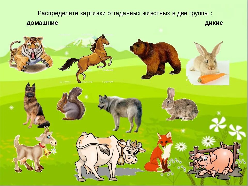 Nombres de animales con hiato - Домашних животных для детей.