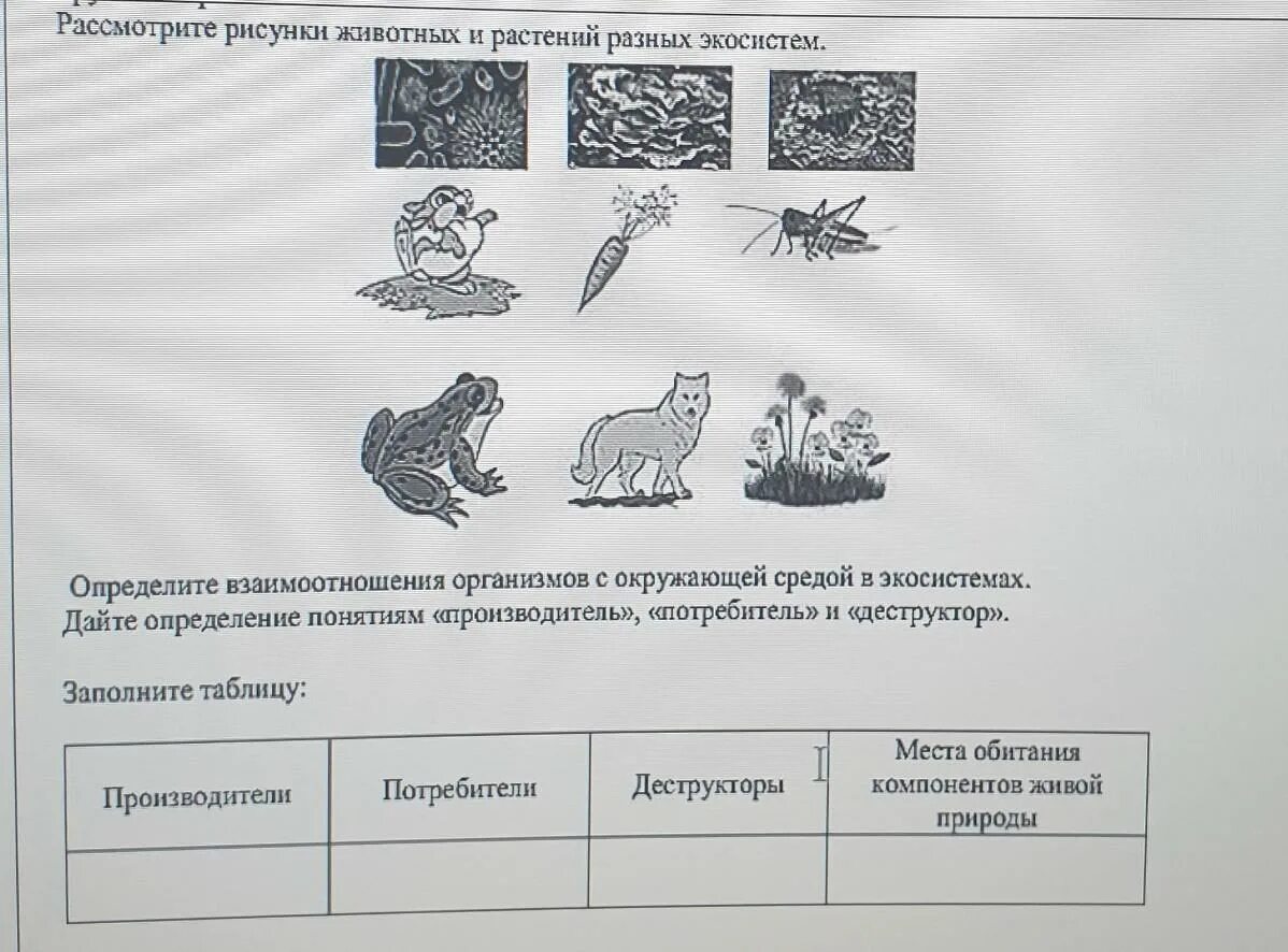 Рассмотрите животных на картинках выявите Рассмотрите рисунок и определите: найдено 88 изображений