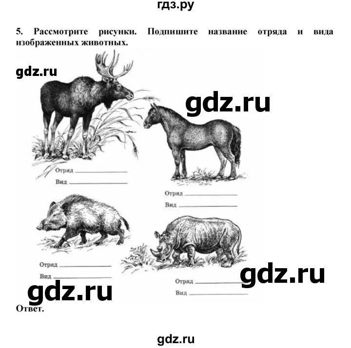 Рассмотрите животных на картинках выявите какие ГДЗ параграф 31-35 (тема) / непарнокопытные (упражнение) 5 биология 7 класс рабо