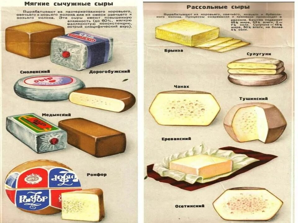 Рассольные сыры виды названия и фото Рекламный плакат сыров, 1985г.