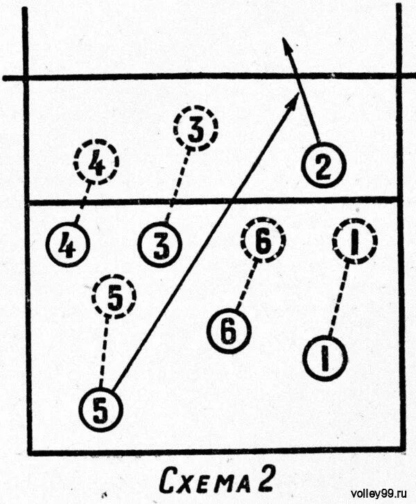 Расстановка 4 2 в волейболе схема Страховка в Волейболе