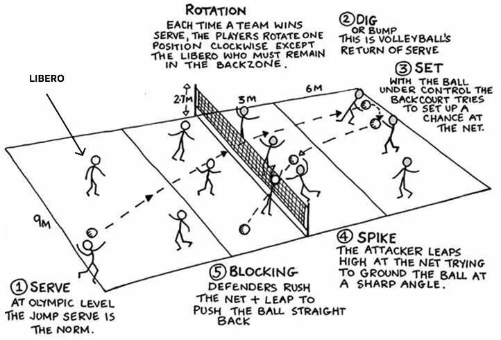 Расстановка 5 1 в волейболе схема позиции What’s The Job of a Libero in Volleyball? in 2024 Volleyball workouts, Volleybal