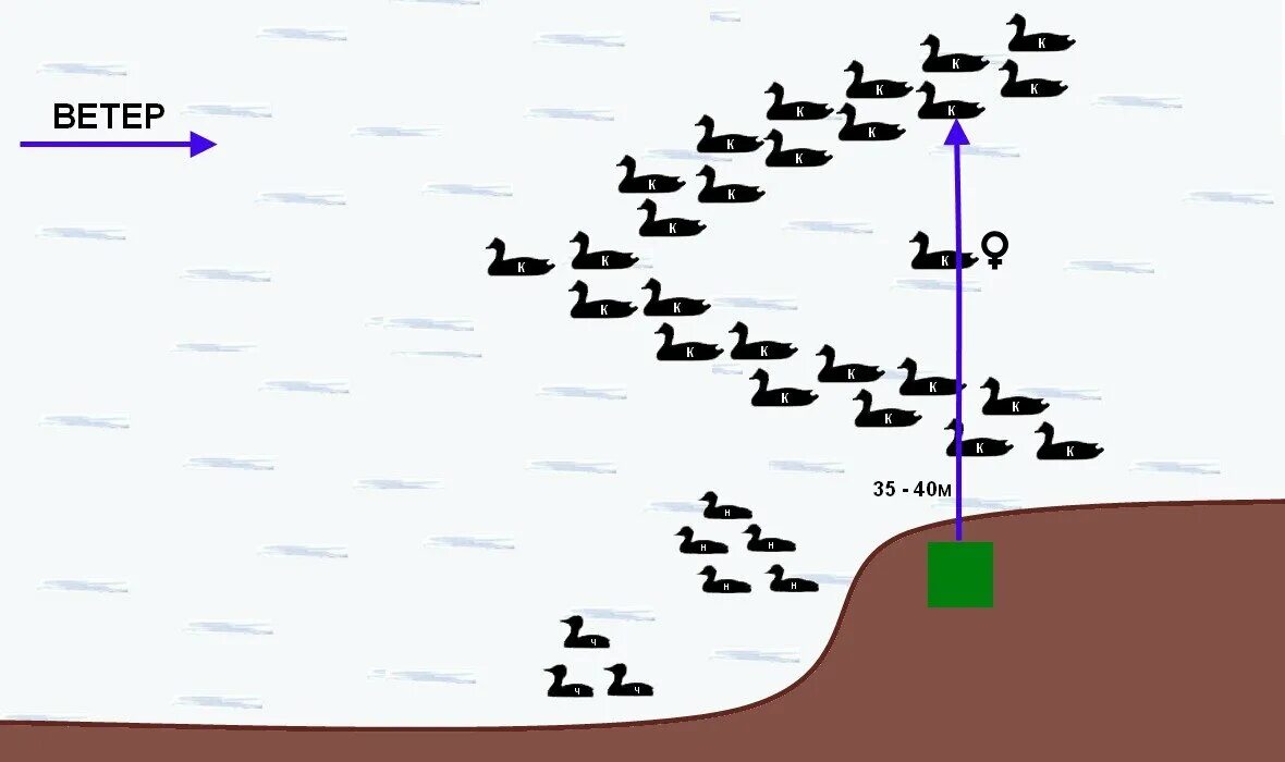 Расстановка гусиных чучел на поле осенью схема Как правильно расставить чучела на утку? 75% охотников этого не знают! Люди в ка