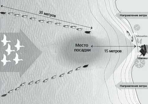 Расстановка гусиных чучел на поле осенью схема Учимся привязывать утиные чучела правильно Agro-Biz Дзен