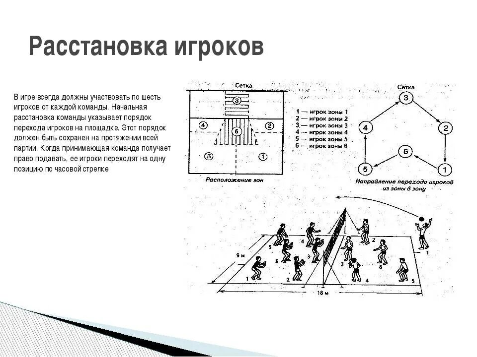 Расстановка игроков в пионерболе схема для детей Размещение играющих