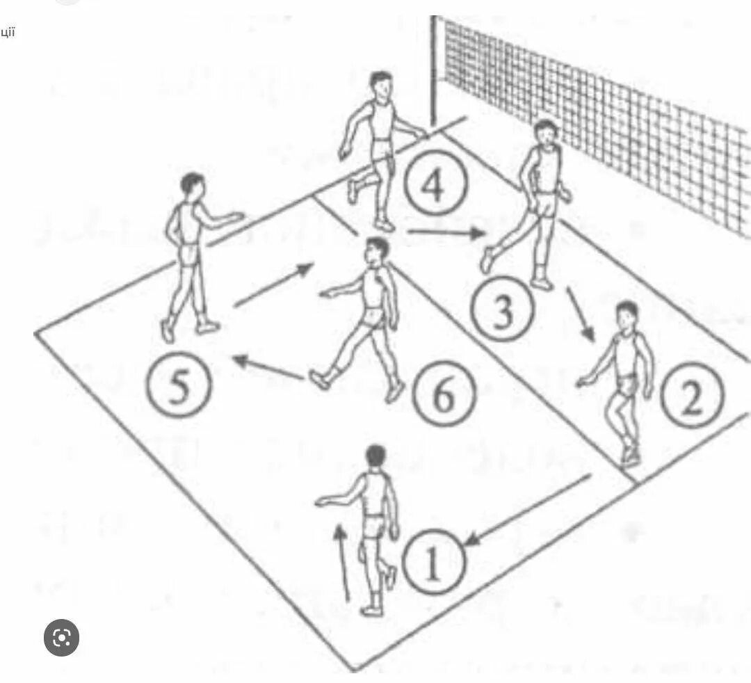 Расстановка игроков в пионерболе схема для детей Какой переход в волейболе: найдено 89 изображений