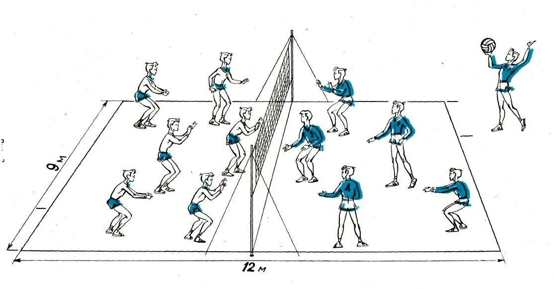 Расстановка игроков в пионерболе схема для детей Положение о дружеской встречи по волейболу