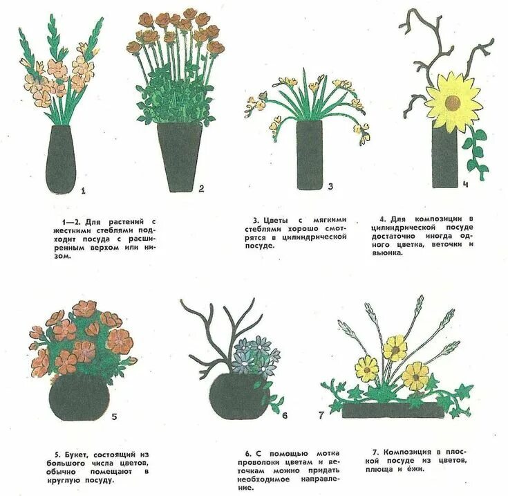 Расстановка цветов в букете схемы Как составить букет и композицию из цветов - Наука и Техника - Каталог статей - 