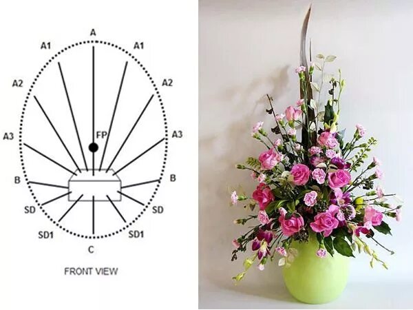 Расстановка цветов в букете схемы Resultado de imagem para cách cắm hoa Flower arrangements diy, Creative flower a