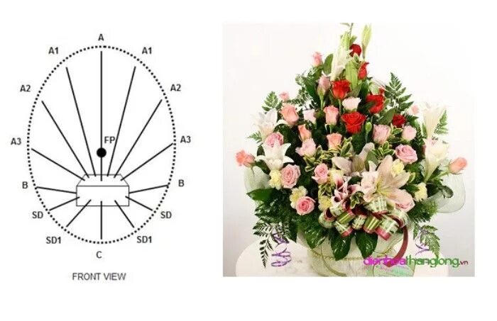 Расстановка цветов в букете схемы Cắm hoa theo hình bầu dục Large flower arrangements, Basket flower arrangements,