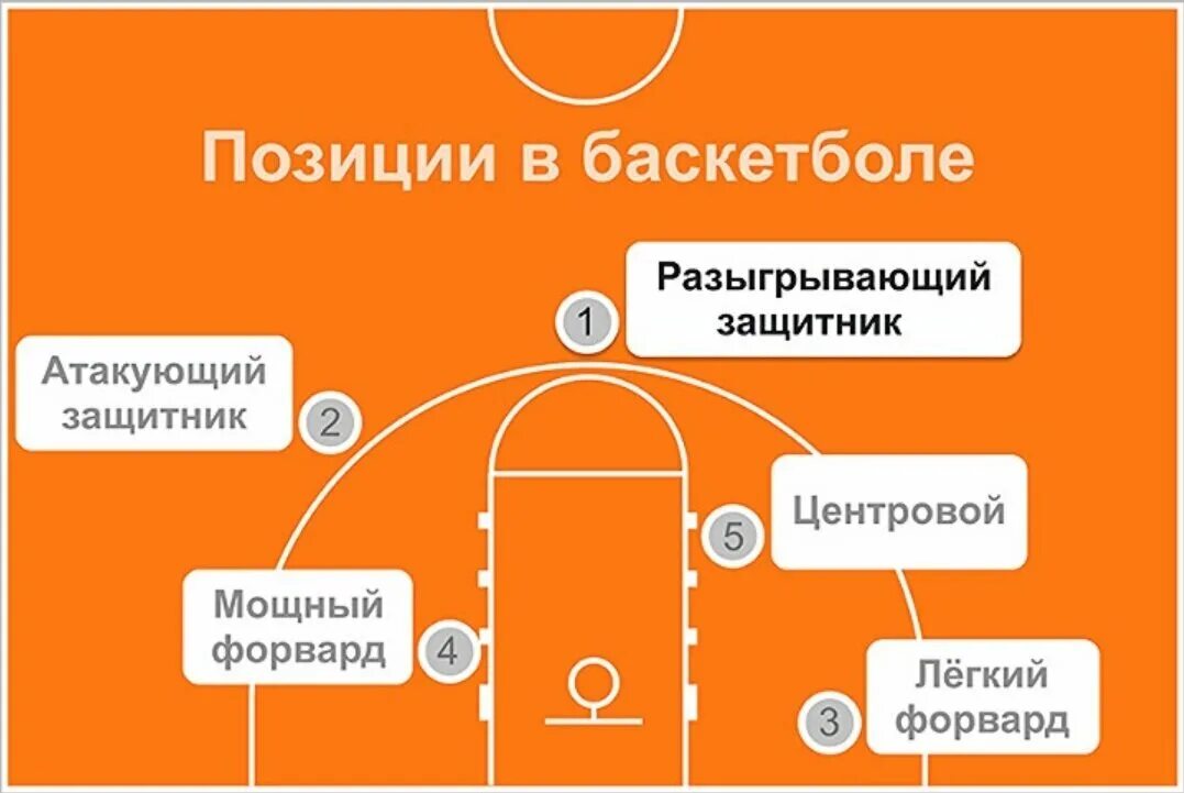 Расстановка в баскетболе схема Баскетбол: история, правила и популярность Полина Шерман Дзен