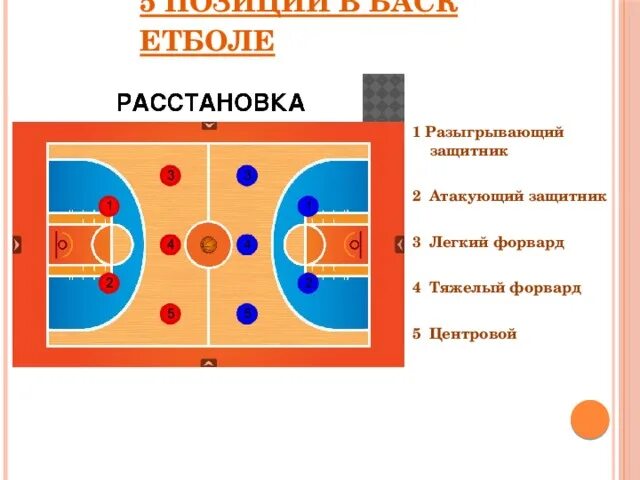 Расстановка в баскетболе схема Позиции (амплуа) игроков в Баскетболе