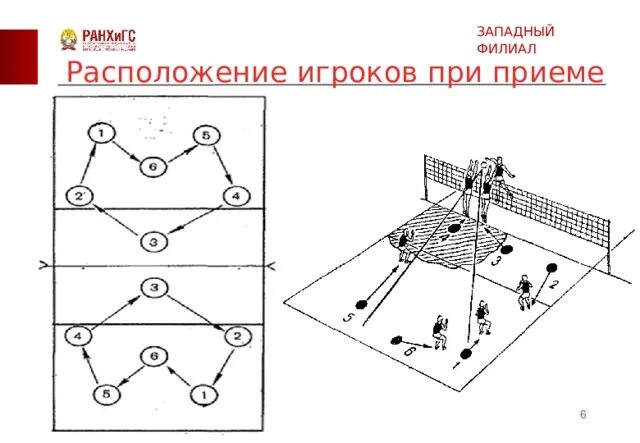 Ответы Mail.ru: позиции Волейбола, их номера и обязанности