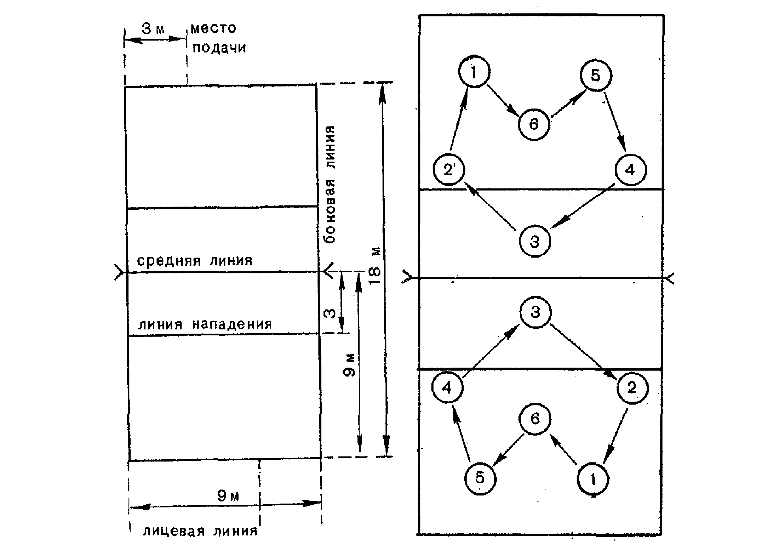 Расстановка волейбол 5 1 схема расшифровки Позиции на волейбольной площадке