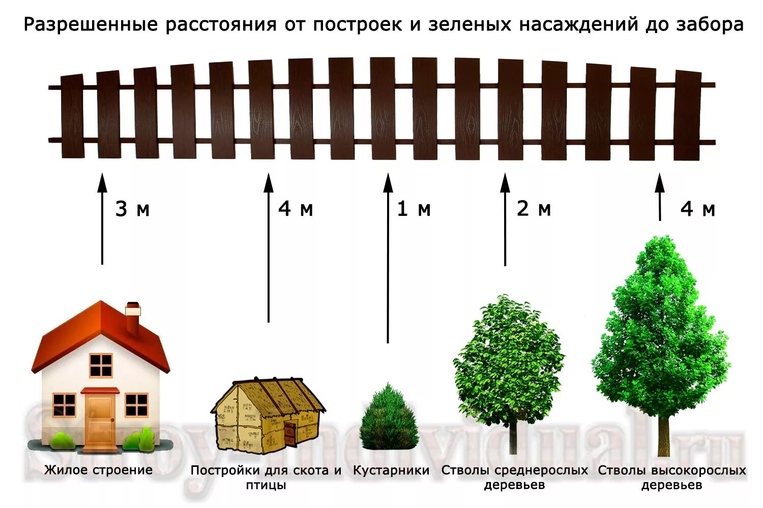 Расстояние до дома схема Какое должно быть расстояние между деревьями фото - DelaDom.ru