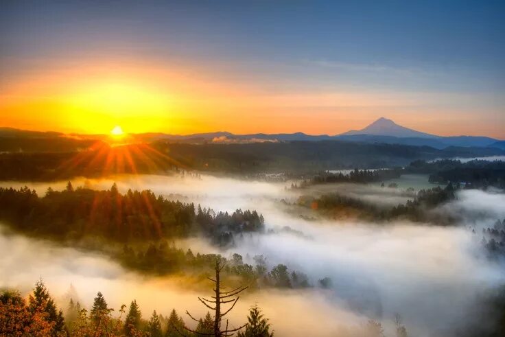 Рассвет фото в высоком Mist covers the valley below as the sun rises over Jonsrud Viewpoint, Oregon Sun