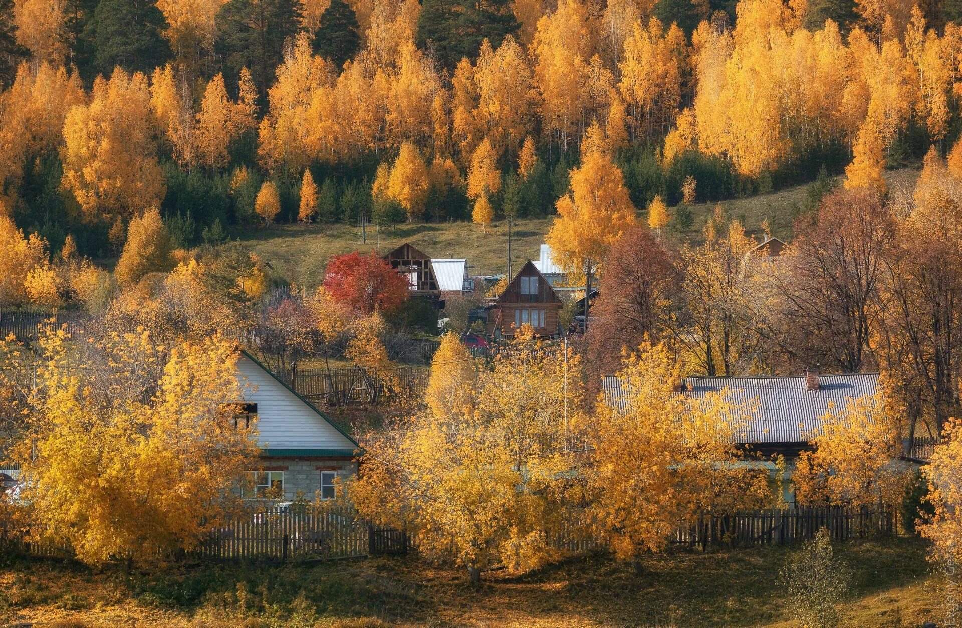 Рассвет осень деревня фото Осень в деревне. Photographer Evgeny Getsev