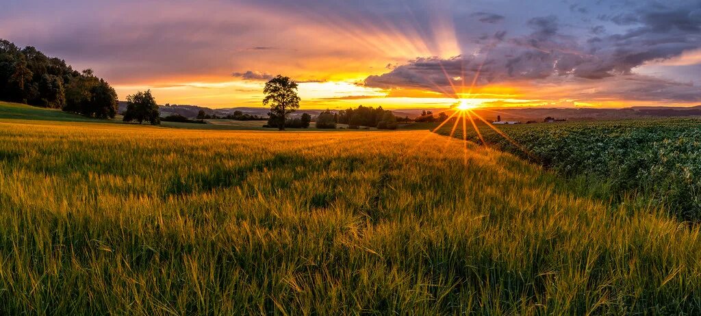 Рассвет поле фото After the rain ⛈ comes the sun ☀ PRESS L Wonderful sunset af. Flickr