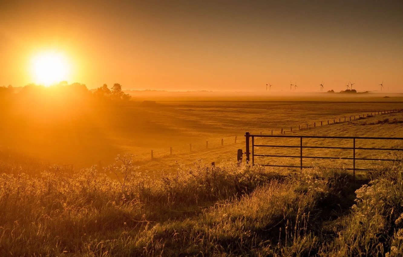 Рассвет поле фото Wallpaper field, the sun, fog, morning for mobile and desktop, section пейзажи, 