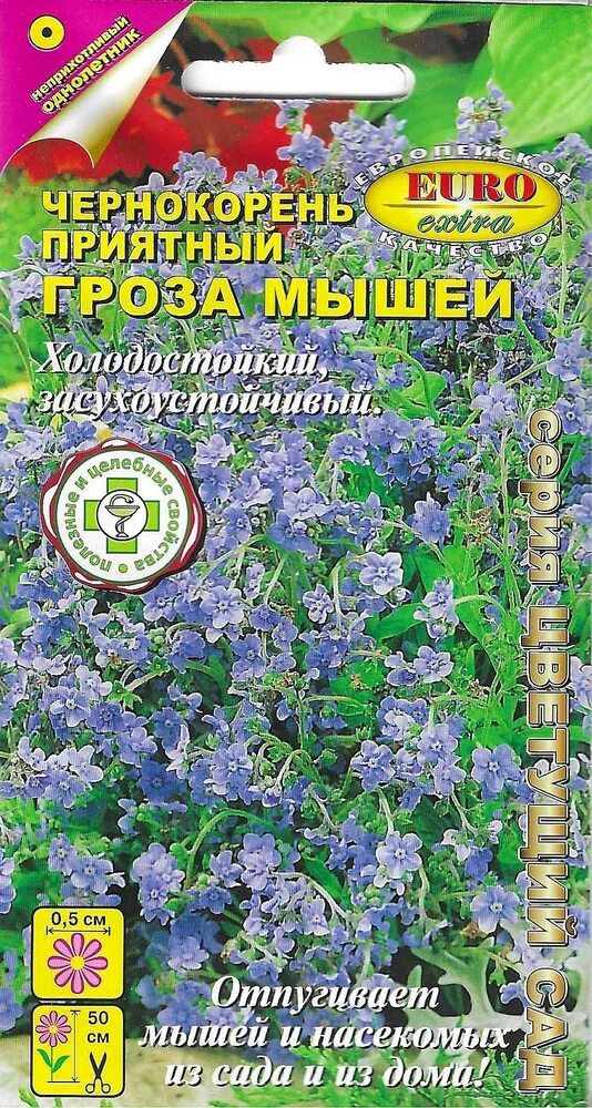 Растение чернокорень от мышей как выглядит Аэлита Чернокорень приятный Гроза мышей - купить по выгодным ценам в интернет-ма