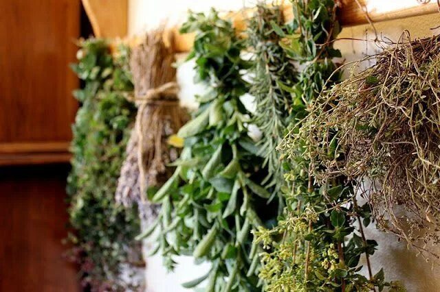 Растение деревень фото как используется как лекарство This is What a Home Apothecary Pantry Looks Like Drying herbs, Herbs, Herbal med