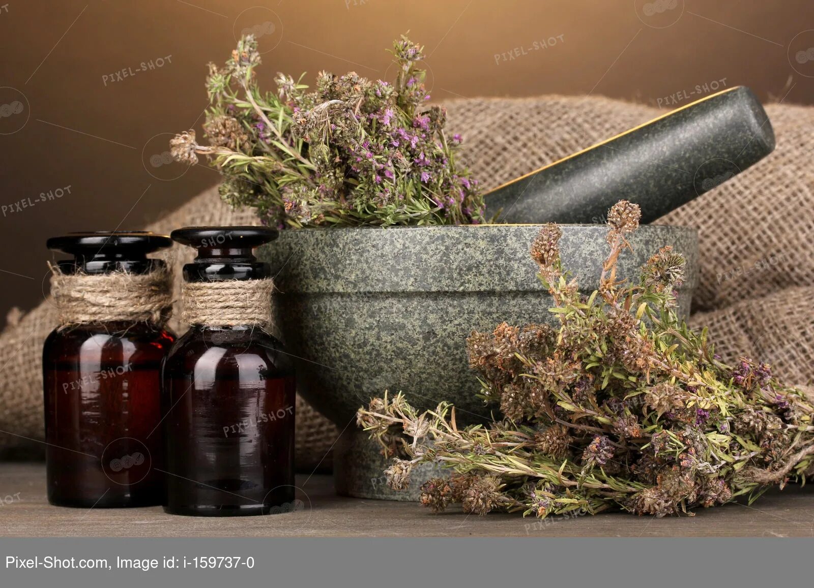 Растение деревень фото как используется как лекарство Thyme herb and mortar on wooden table on brown background :: Stock Photography A